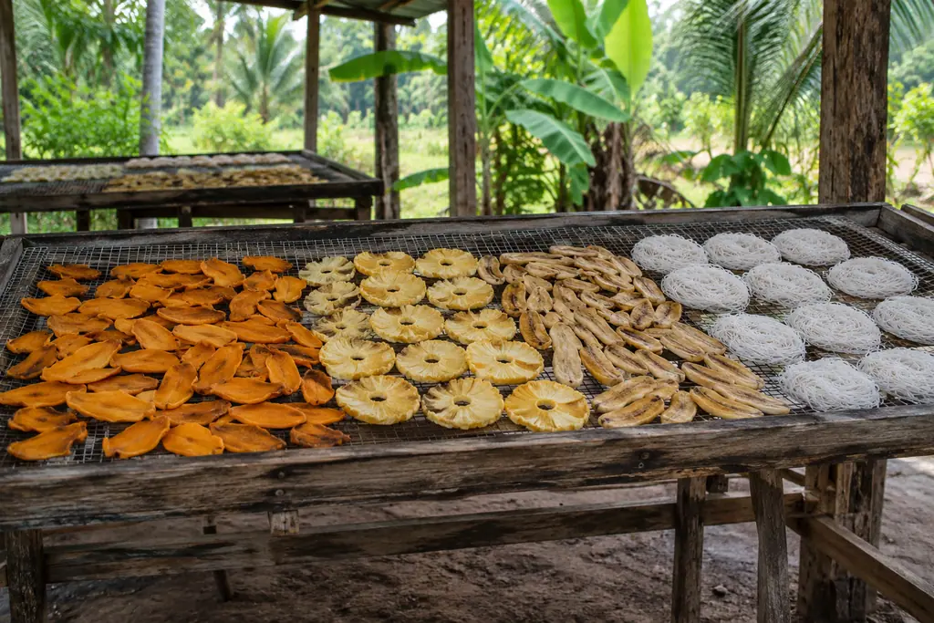 Mango, pineapple, banana slices and white string hoppers dry on mesh racks beneath a shelter amid banana plants and palms.