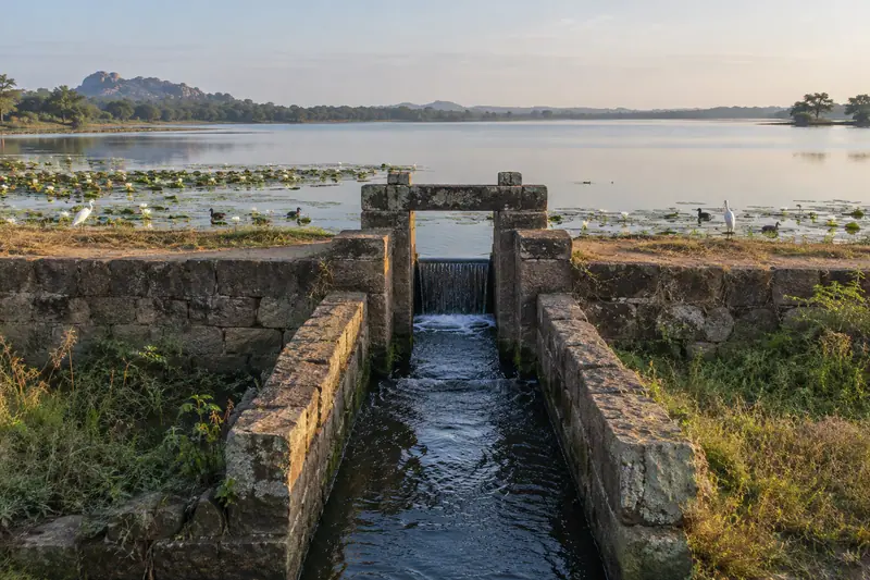 An old stone sluice crosses a reservoir embankment, with water lilies and waterbirds in soft morning light.