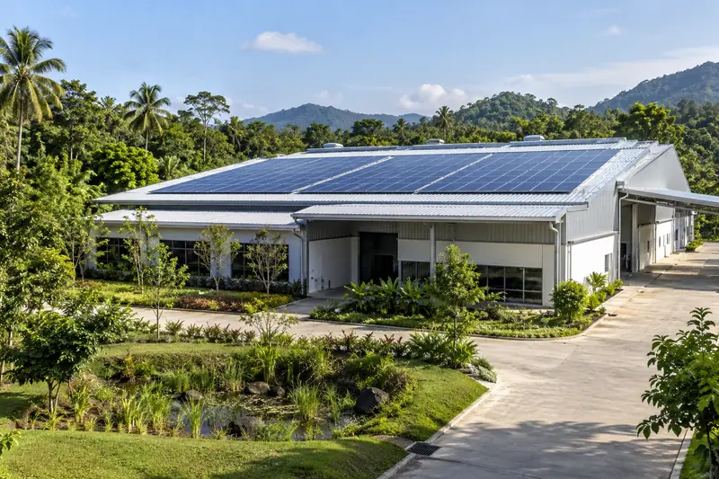 Solar panels cover a low factory roof surrounded by tropical trees and a planted rain garden in morning sunlight.