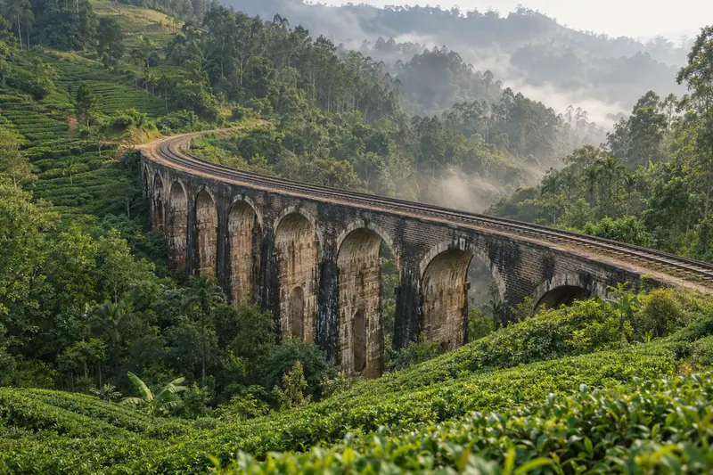 A stone railway viaduct curves through tea-covered hills and forest above a misty valley.