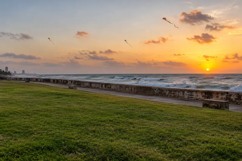 Kites fly above a grassy seafront promenade and long weathered sea wall as ocean waves break at sunset.
