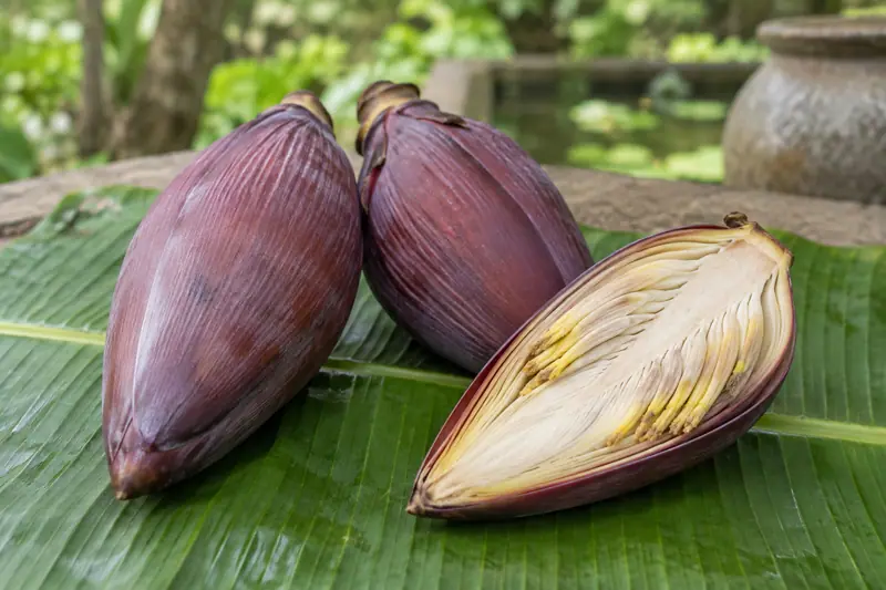 Two whole maroon banana blossoms and a lengthwise-cut half revealing cream layers and yellow florets on a green banana leaf.
