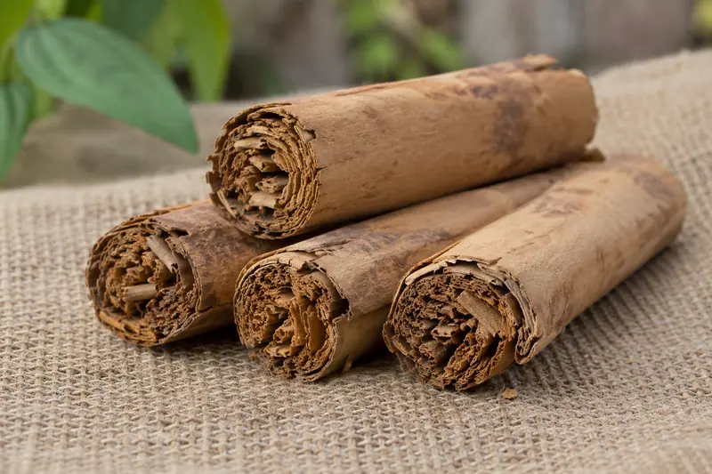 Four broad brown Ceylon cinnamon quills with layered, frayed ends rest on coarse jute cloth in natural light.