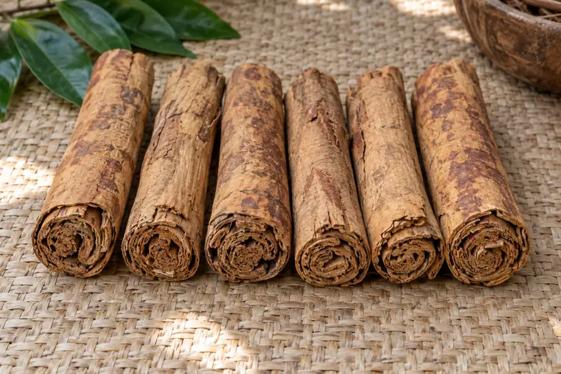 Six thick Ceylon cinnamon quills with layered ends and dark brown patches lie side by side on a woven mat.