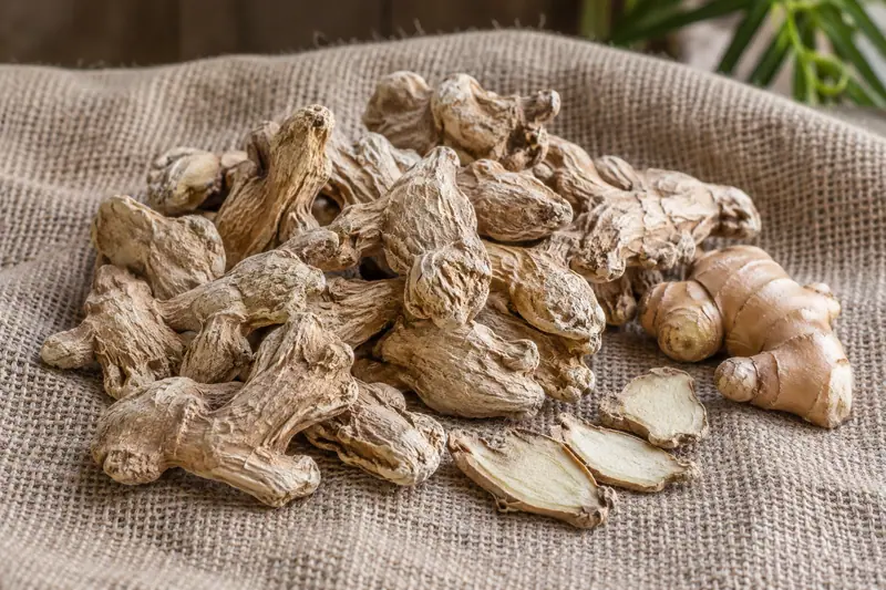 Wrinkled dried ginger rhizomes and pale slices rest on jute cloth beside a small fresh ginger root.