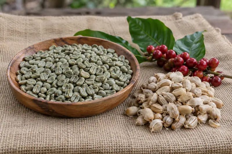 Green coffee beans in a shallow wooden tray beside beige parchment coffee and ripe red coffee cherries on jute cloth.